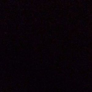 Meet your Posher, Annie